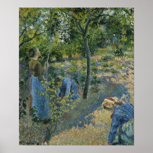 Poster Pissarro - Apple Picking 1881 (Frente)