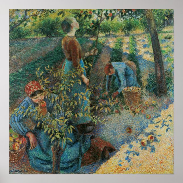 Poster Pissarro - Colheita de Maçãs (Frente)