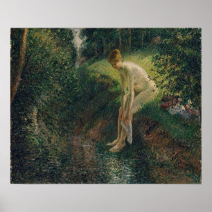 Poster Pissarro - Couro Na Floresta