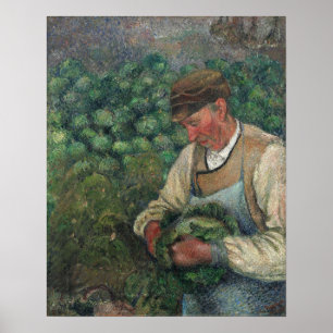 Poster Pissarro - O Velho Camponês Do Jardineiro Com Couv