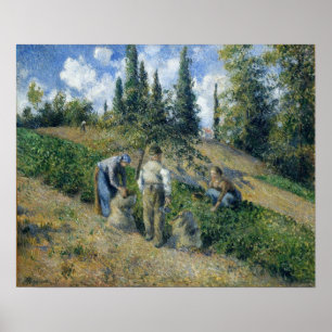 Poster Pissarro - The Harvest Pontoise 1881