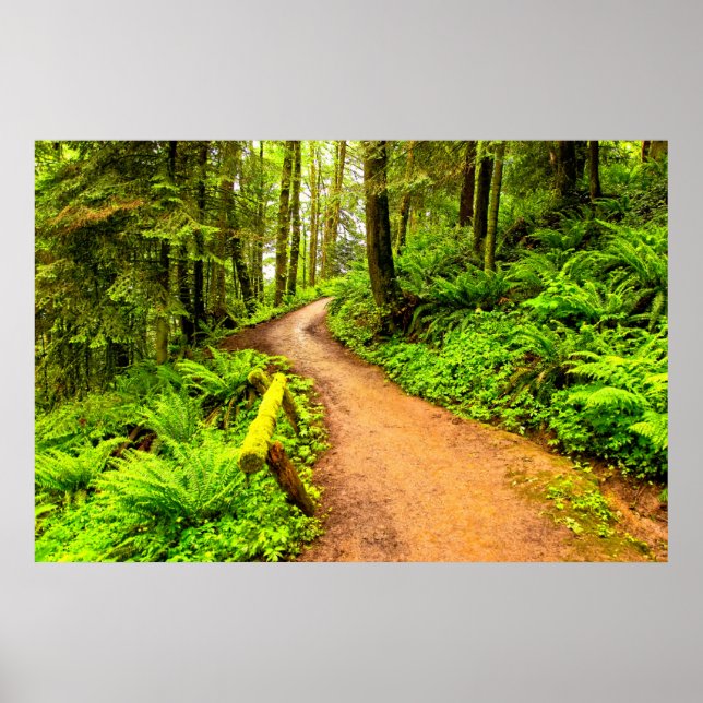 Poster Pista no Parque Florestal (Frente)