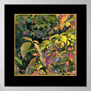 Póster Pistachio chinês na queda