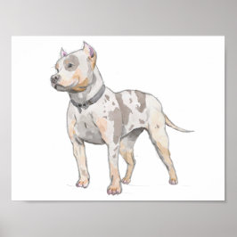 Poster Pit Bull Cachorro Branco Desenho Aquarela