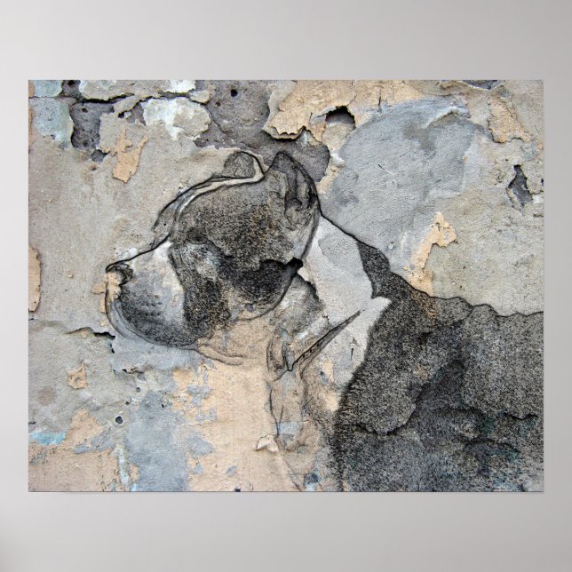 Póster Pitbull (Frente)