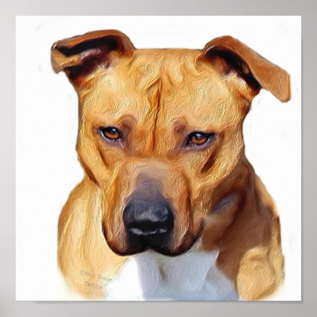 Poster Pitbull (Frente)