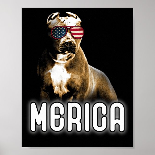 Poster Pitbull Merica Patriótico Pit Bull (Frente)