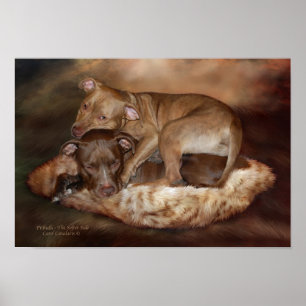 Póster Pitbulls - o poster/impressão laterais mais macio