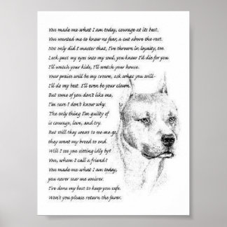 Póster pitbulpolo