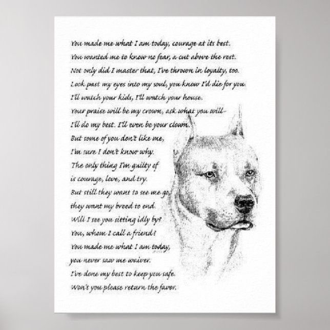 Póster pitbulpolo (Frente)