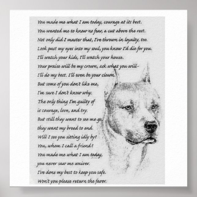 Poster pitpoema (Frente)