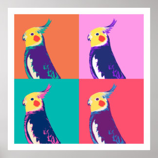 Póster Piu