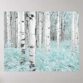 Poster PixDezines Floresta de Bétula de Inverno Cama de S