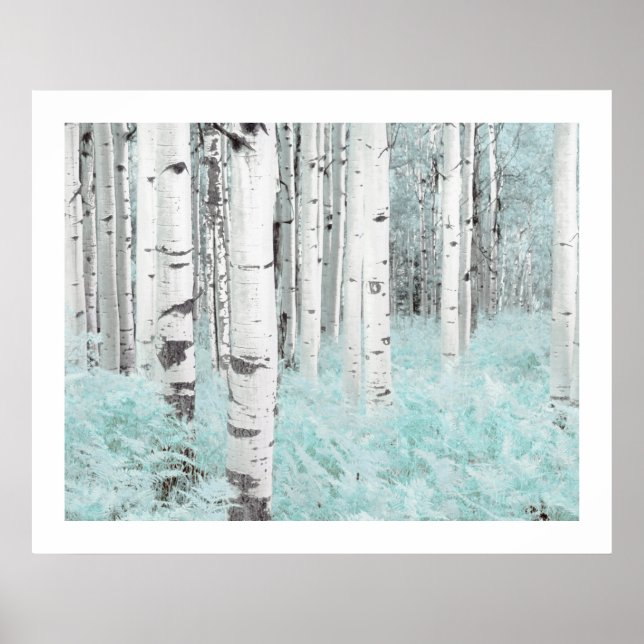 Poster PixDezines Floresta de Bétula Prateada Cama de Fet (Frente)