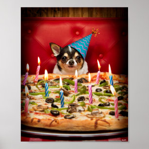 Poster Pizza Chihuahua Birthday