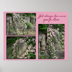 Póster Pk old-fashroses em bluff-ZP