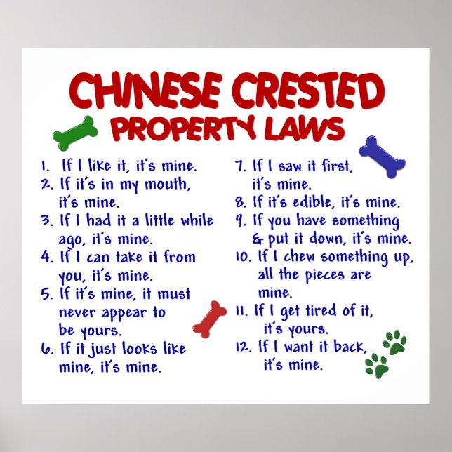 PÓSTER PL2 CRESTADO CHINÊS (Frente)