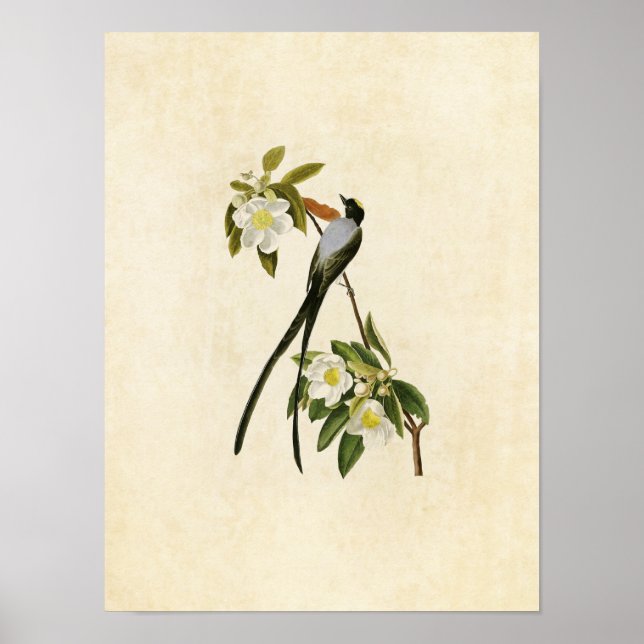 Póster Placa 168 | Incêndio Fork (Frente)