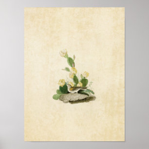 Poster Placa 94   Almofadas de grama ou rebarbas