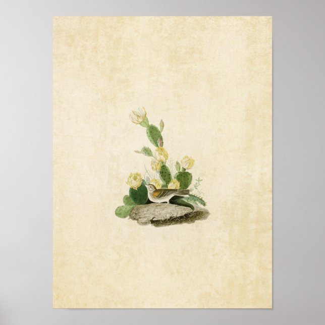 Poster Placa 94 | Almofadas de grama ou rebarbas (Frente)