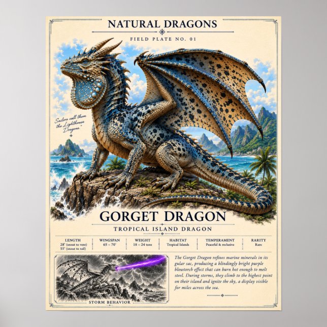 Poster Placa de Campo do Dragão Gorget (Frente)