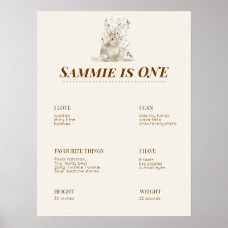 Poster Placa de Cartaz de Marco de Primeiro Aniversário d