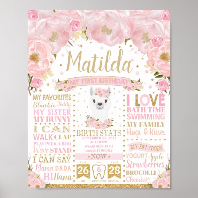 Poster Placa de Estatísticas de Nascimento do 1º Aniversá (Frente)