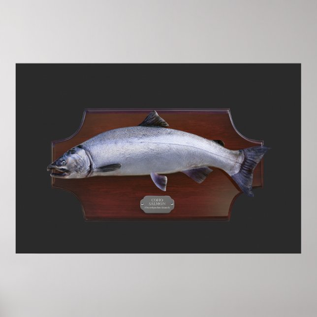 Poster Placa de Exibição de Troféu Coho Salmon (Frente)