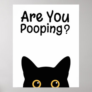 Poster Placa de Gato Preto Engraçado - Você está fazendo