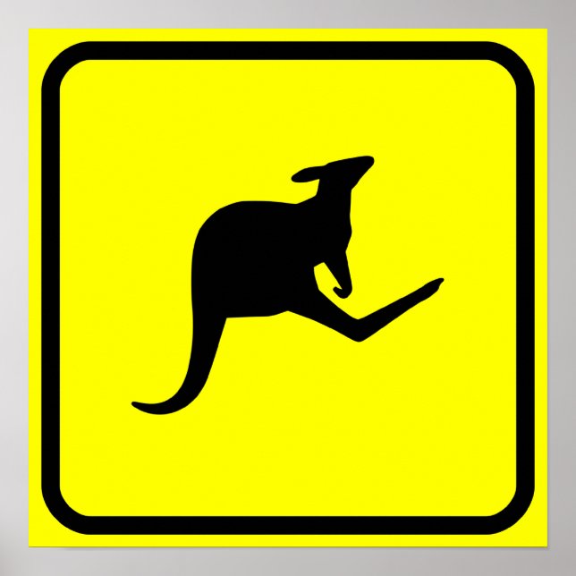 Poster Placa de Sinalização Roo XING (Frente)