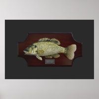 Placa de Troféu de Bass Strike