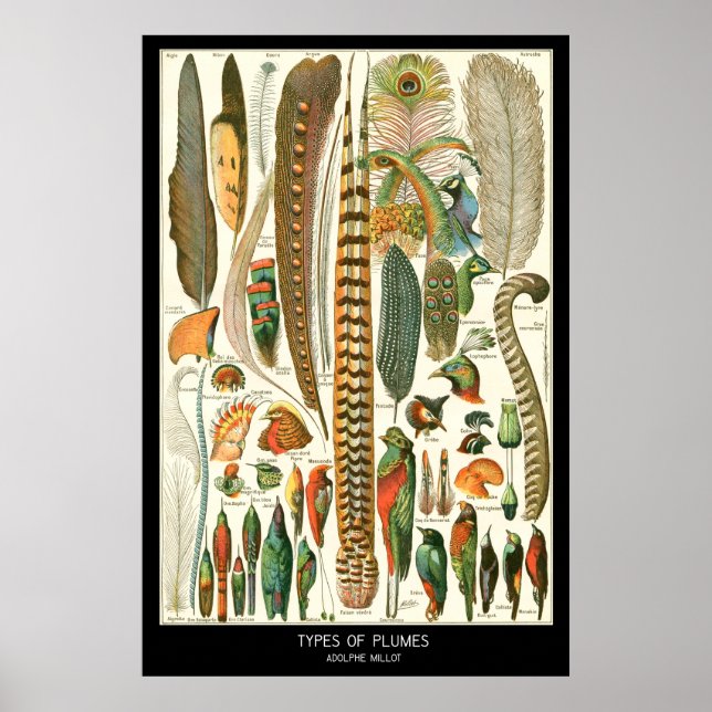 Poster Placas (Frente)