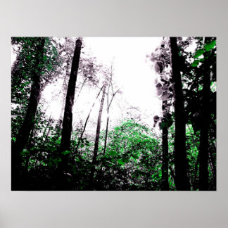 Póster Placas verdes