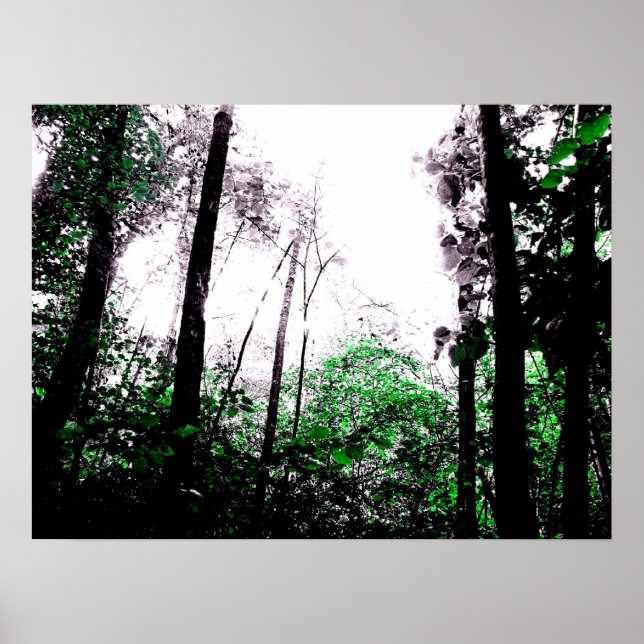 Póster Placas verdes (Frente)