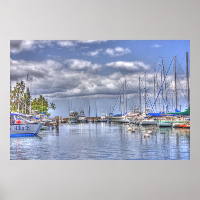 Póster PlÁcido Maui Harbor (Frente)