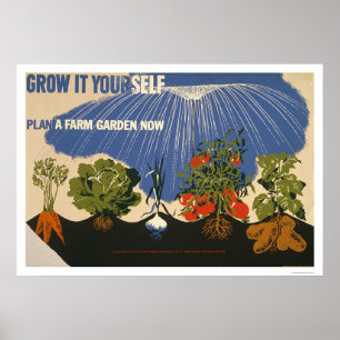 Póster Planeie um jardim da fazenda WPA 1941