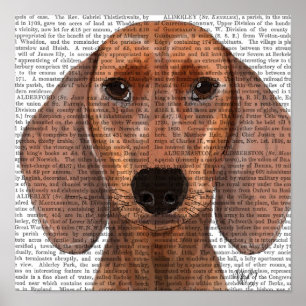 Poster Planilha de Ilustração de Dachshund