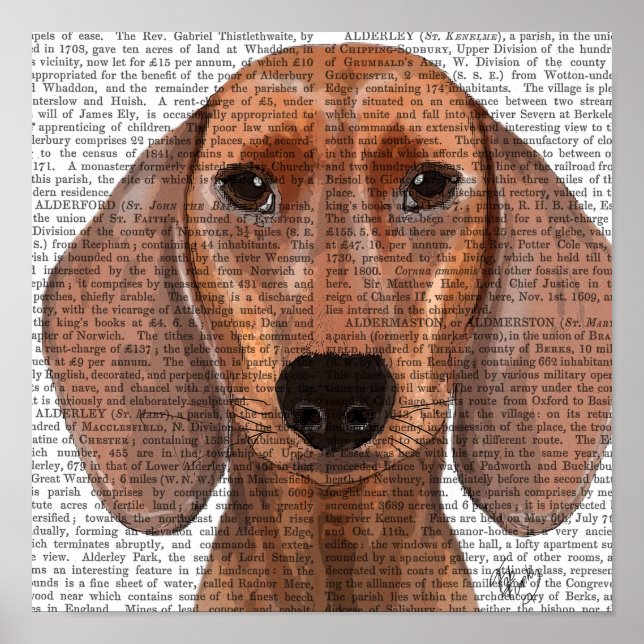 Poster Planilha de Ilustração de Dachshund (Frente)