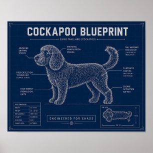 Poster Plano de Cockapoo Arte de Parede Presente para Ama