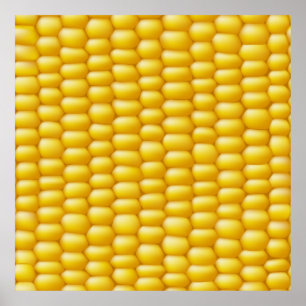 Poster Plano de Fundo do Cob do Corn