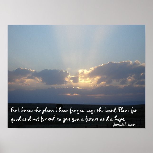 Póster Planos (Frente)