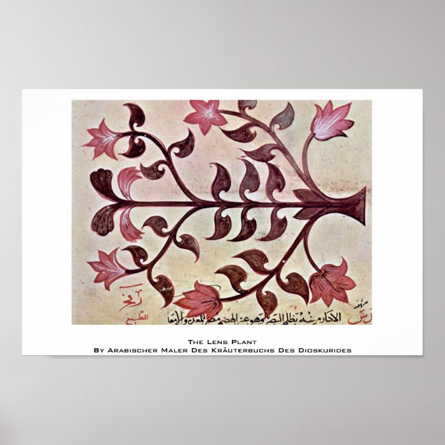 Poster Planta da lente (Frente)