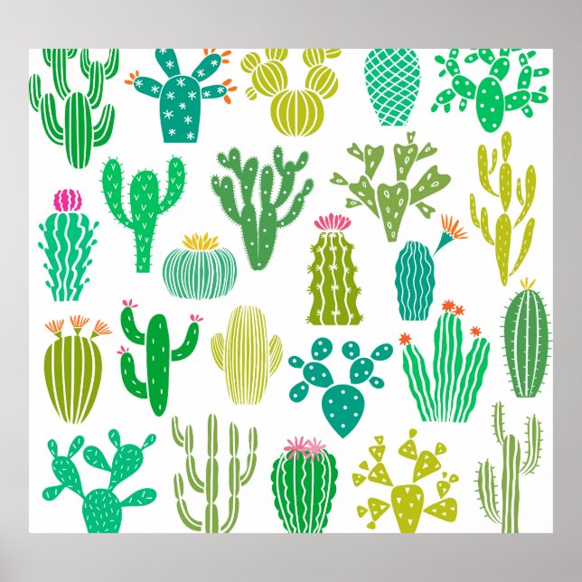 Poster Planta de cactus: vintage floral set. (Frente)