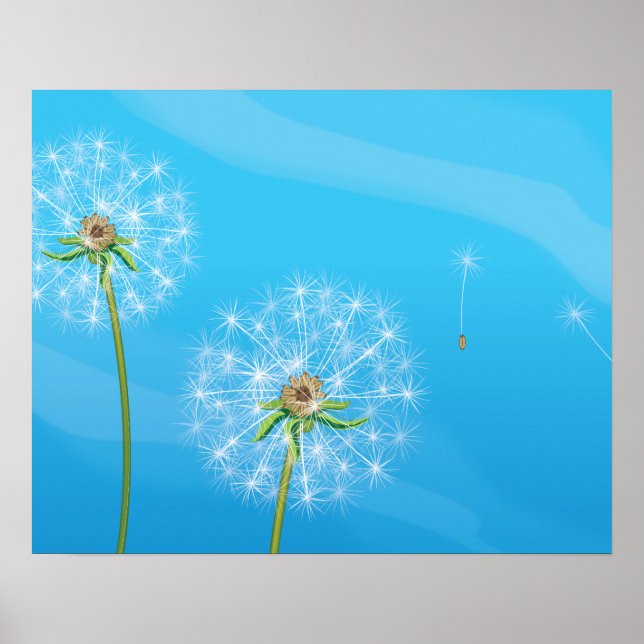 Poster Planta de Dente-de-Leão (Frente)