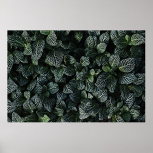 POSTER PLANTA DE FOLHAS VERDE E BRANCA