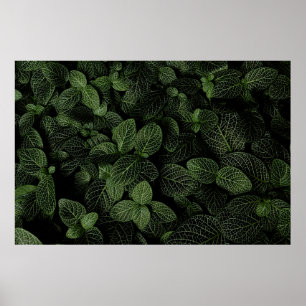 POSTER PLANTA DE FOLHAS VERDE E BRANCA