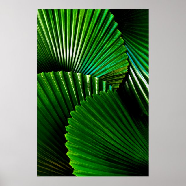 Poster Planta de folhas verdes (Frente)