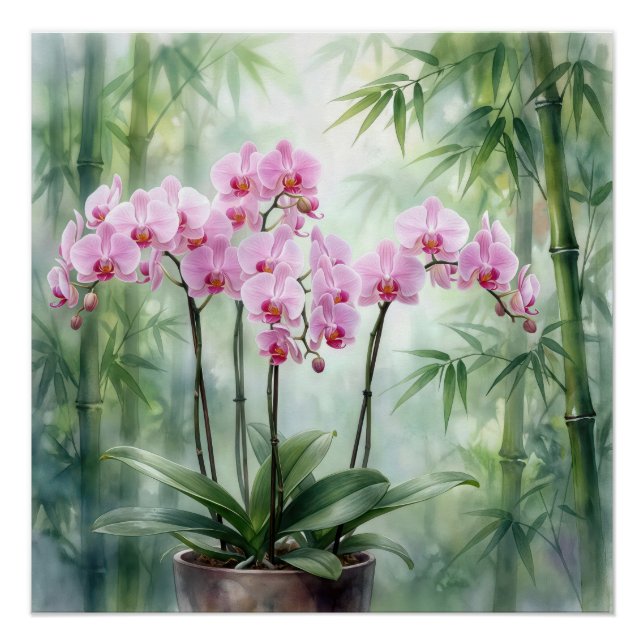 Póster Planta de Orquídea Rosa em Fundo de Bambu (Frente)