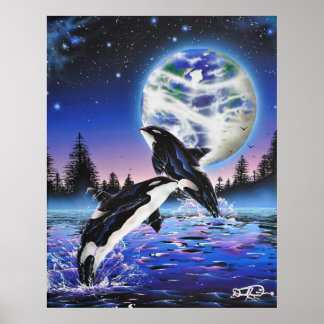 Póster Planta do céu