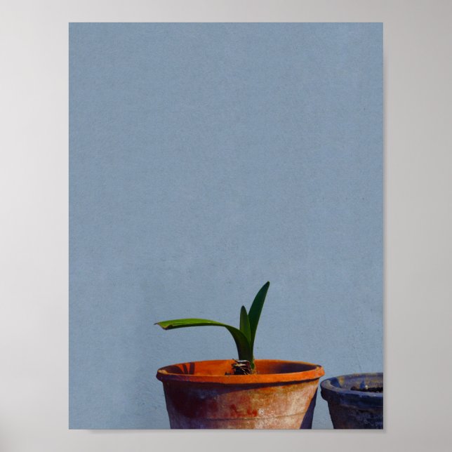 Poster Planta em Pote (Frente)